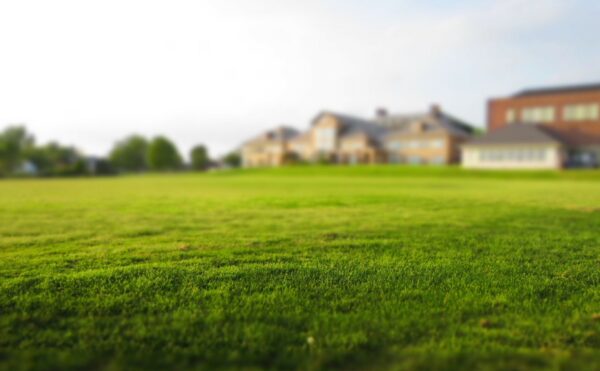 Vente de terrains à bâtir pour construction de maison ou lotissement